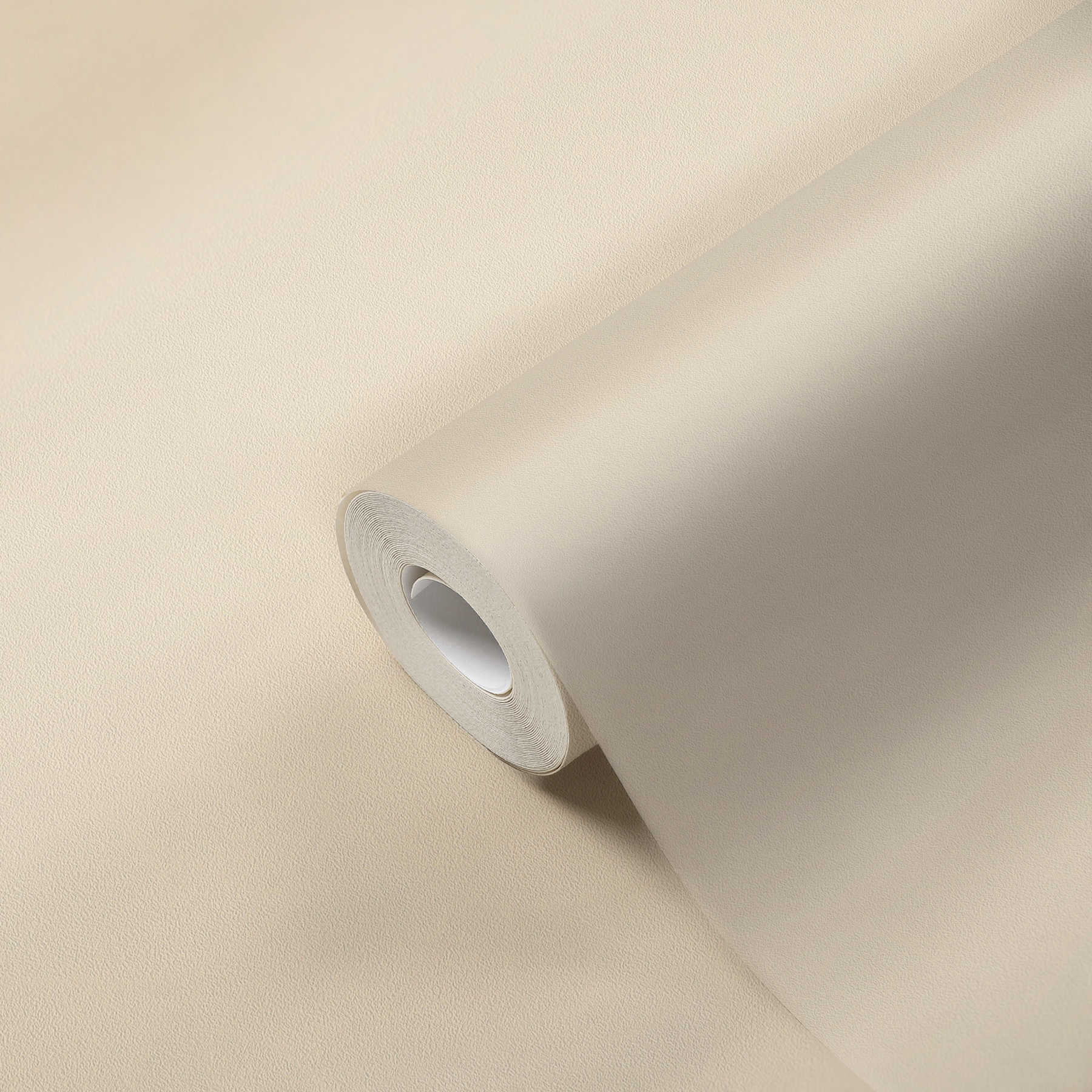             papier peint en papier de luxe uni & mat - Beige
        