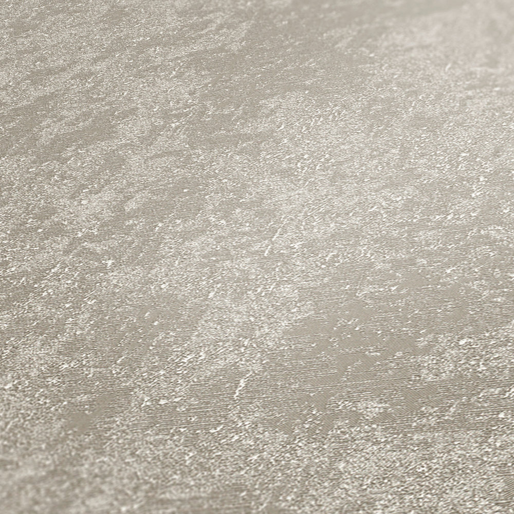             Papel pintado VERSACE gris claro no tejido con aspecto de yeso
        