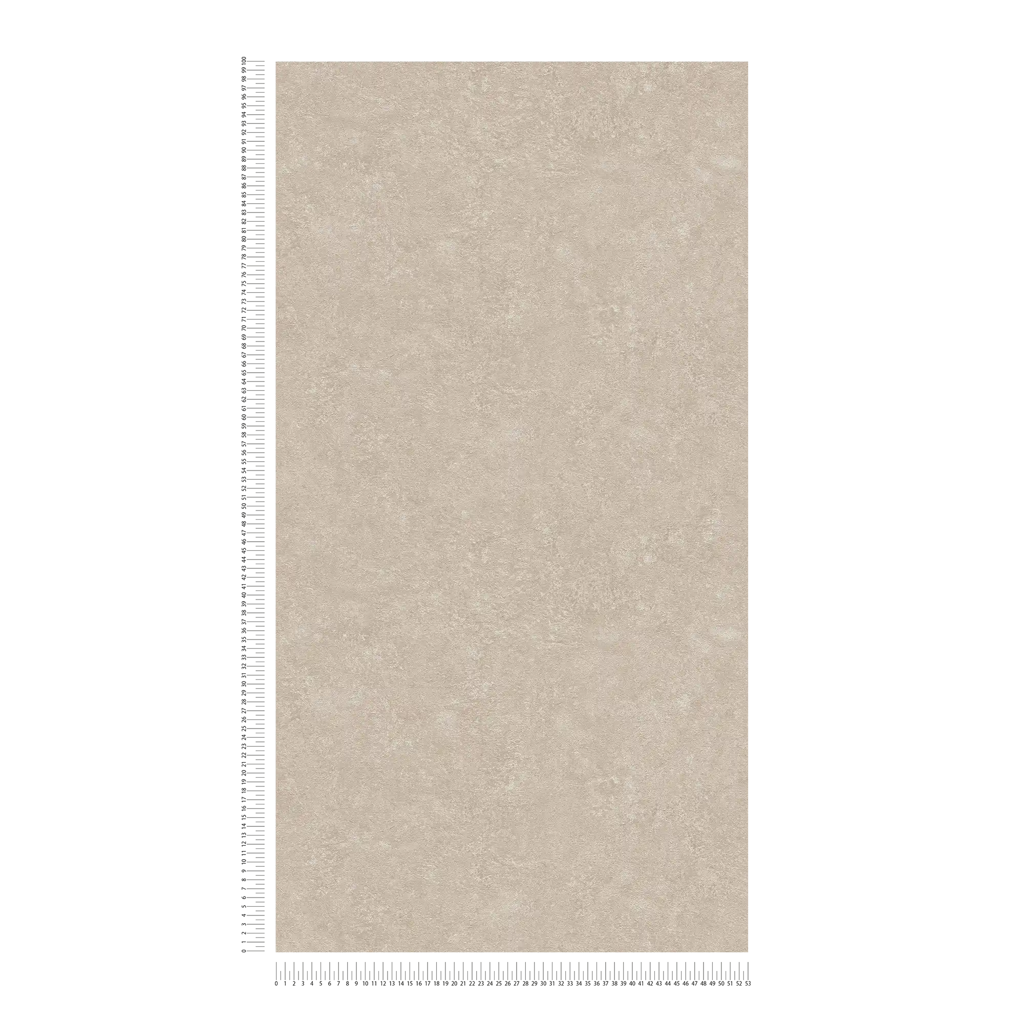             Wallpaper rough plaster look in industrial style - beige, white
        