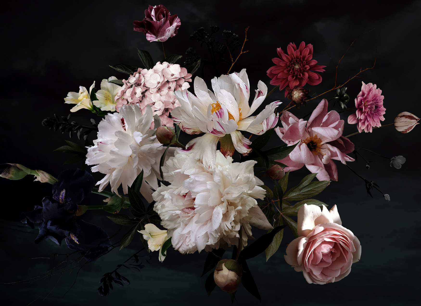             Papier peint bouquet de fleurs - blanc, rose, noir
        