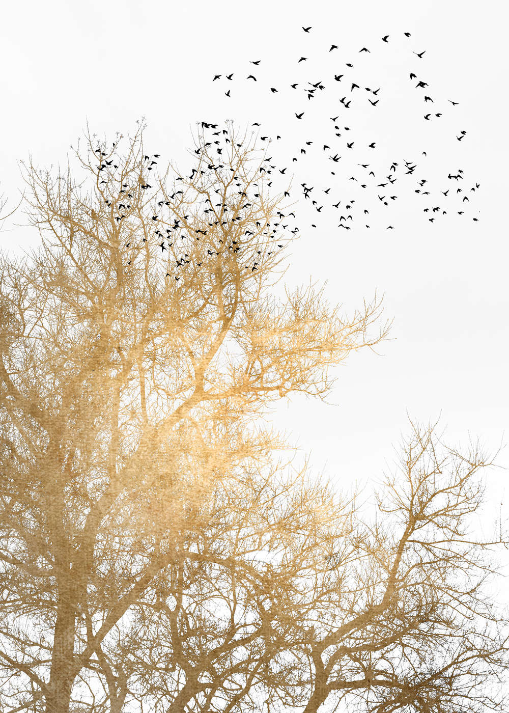             Muurschildering met gouden bomen en zwerm vogels
        