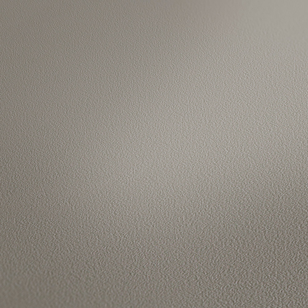             Papel pintado monocromo topo y mate, tono gris-beige
        