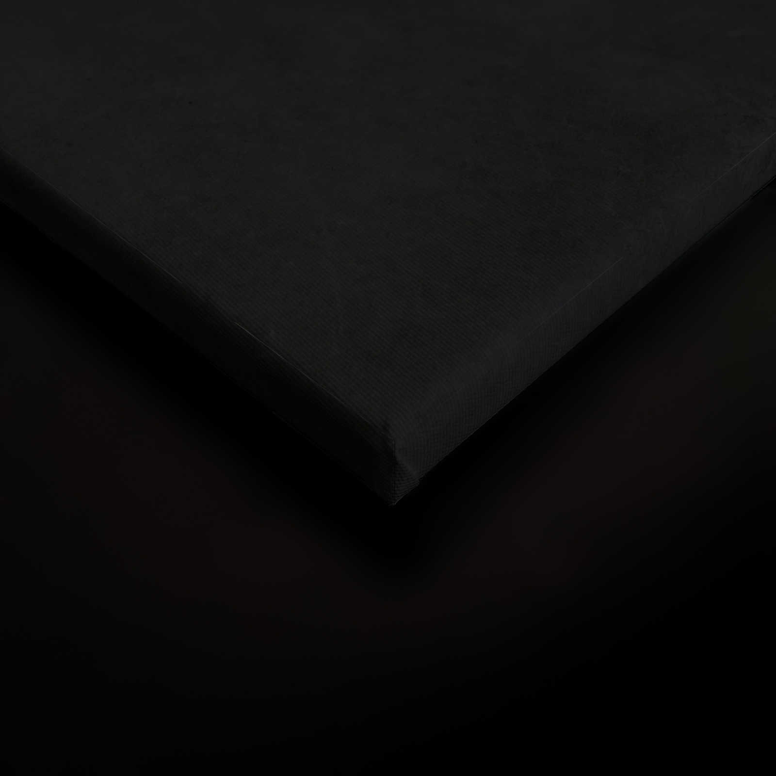             Giardino di mezzanotte 1 - Quadro su tela nera Stile pittura giglio in fiore - 0,80 m x 1,20 m
        