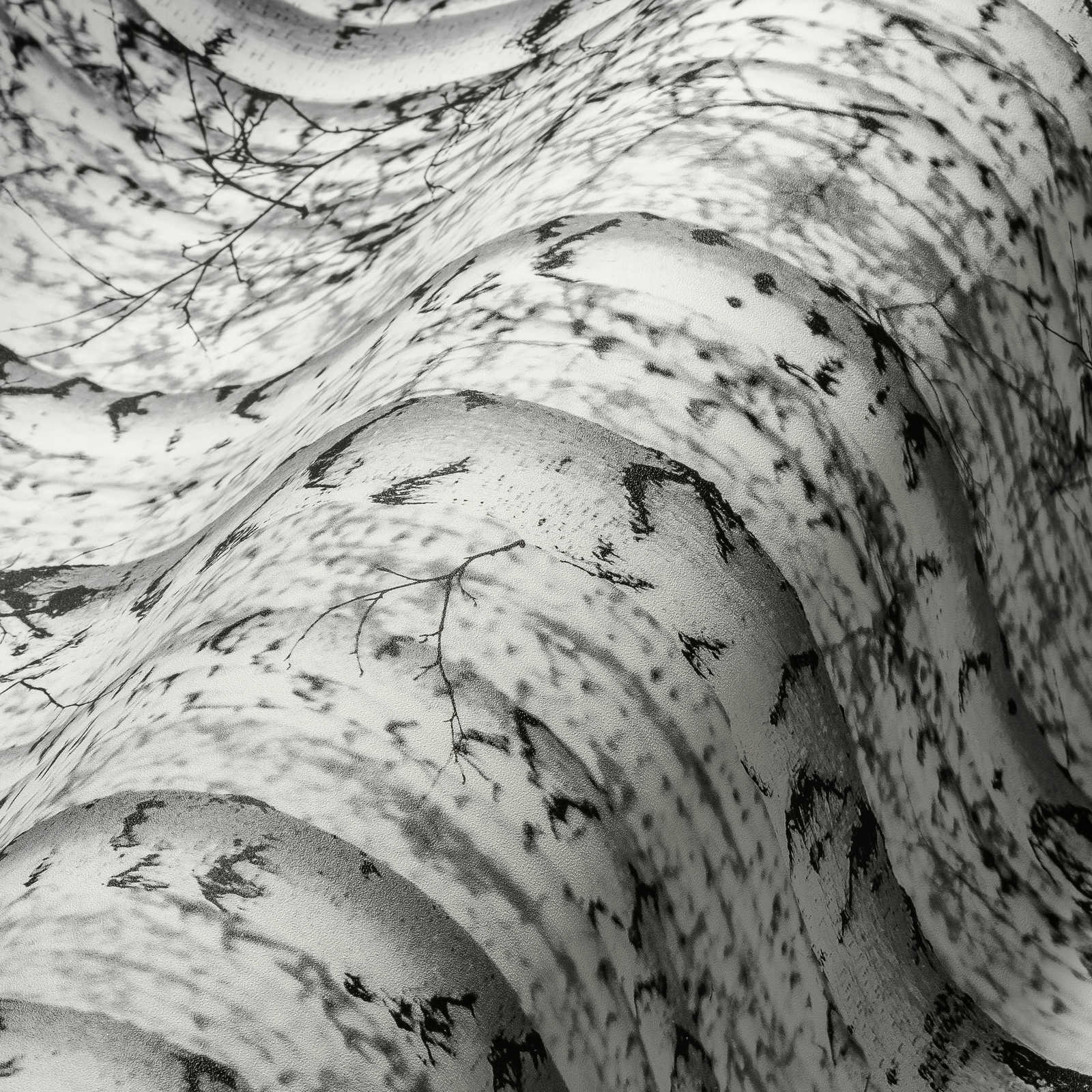             Carta da parati in bianco e nero foresta di betulle 3D - bianco, nero
        
