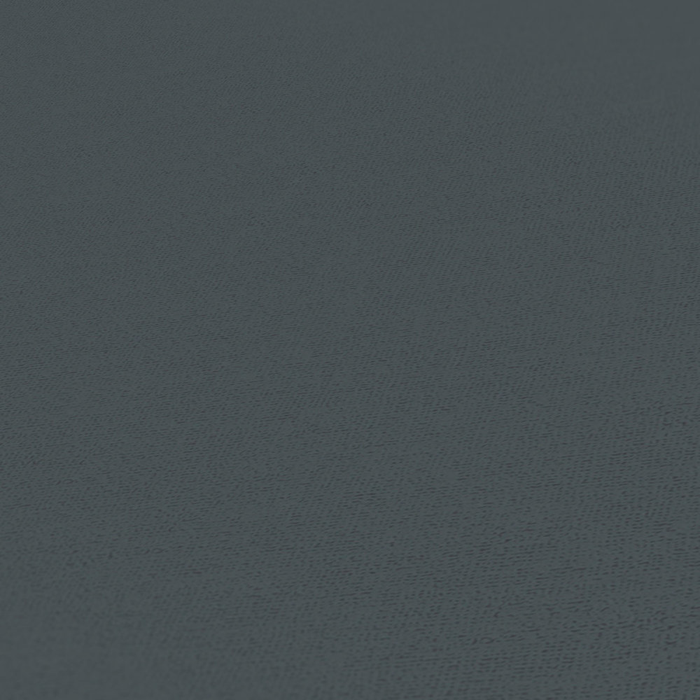             Black non-woven wallpaper monochrome, matte from MICHALSKY
        