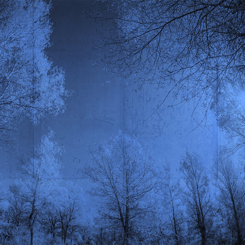 Papier peint panoramique imitation béton & paysage forestier - bleu, noir
