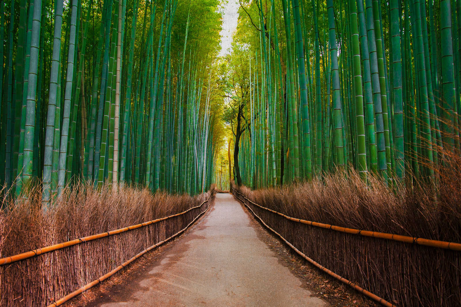             Canvas with natural bamboo path - 0.90 m x 0.60 m
        