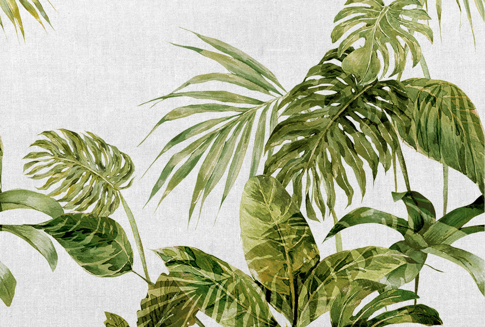             Tropical mural monstera leaves in watercolour style - green, grey
        