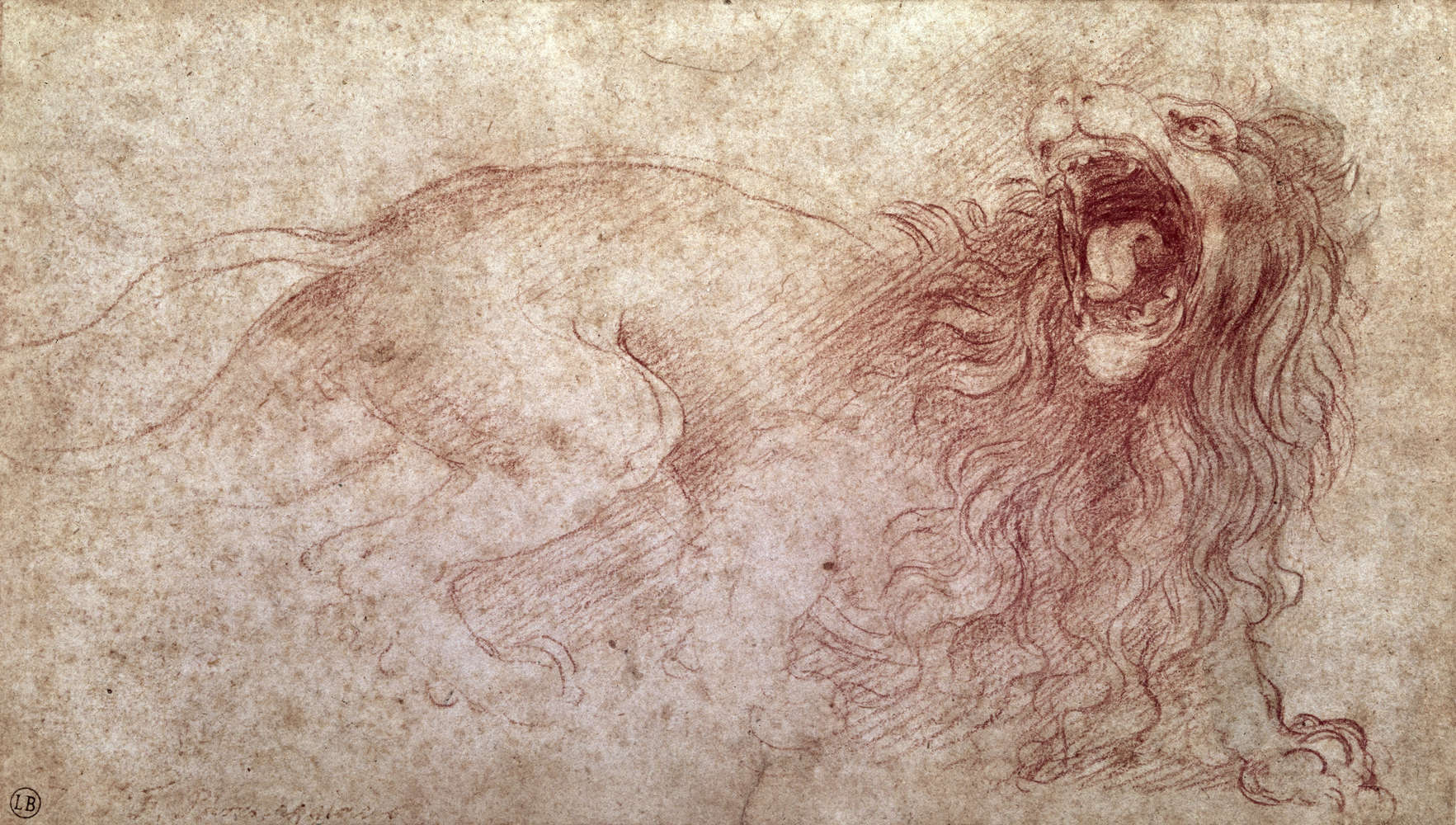             Fotomurali "Schizzo di un leone ruggente" di Leonardo da Vinci
        