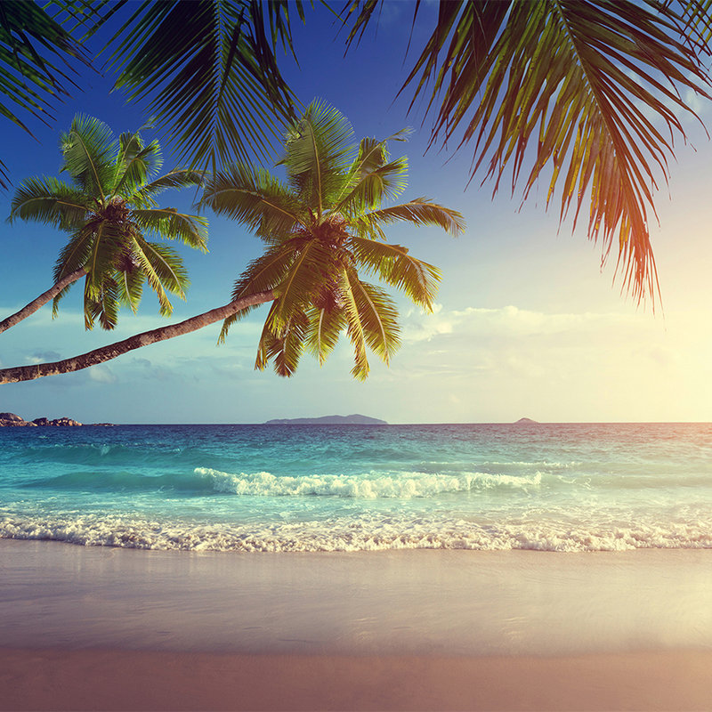 Digital behang Seychellen met palmbomen - parelmoer glad vlies
