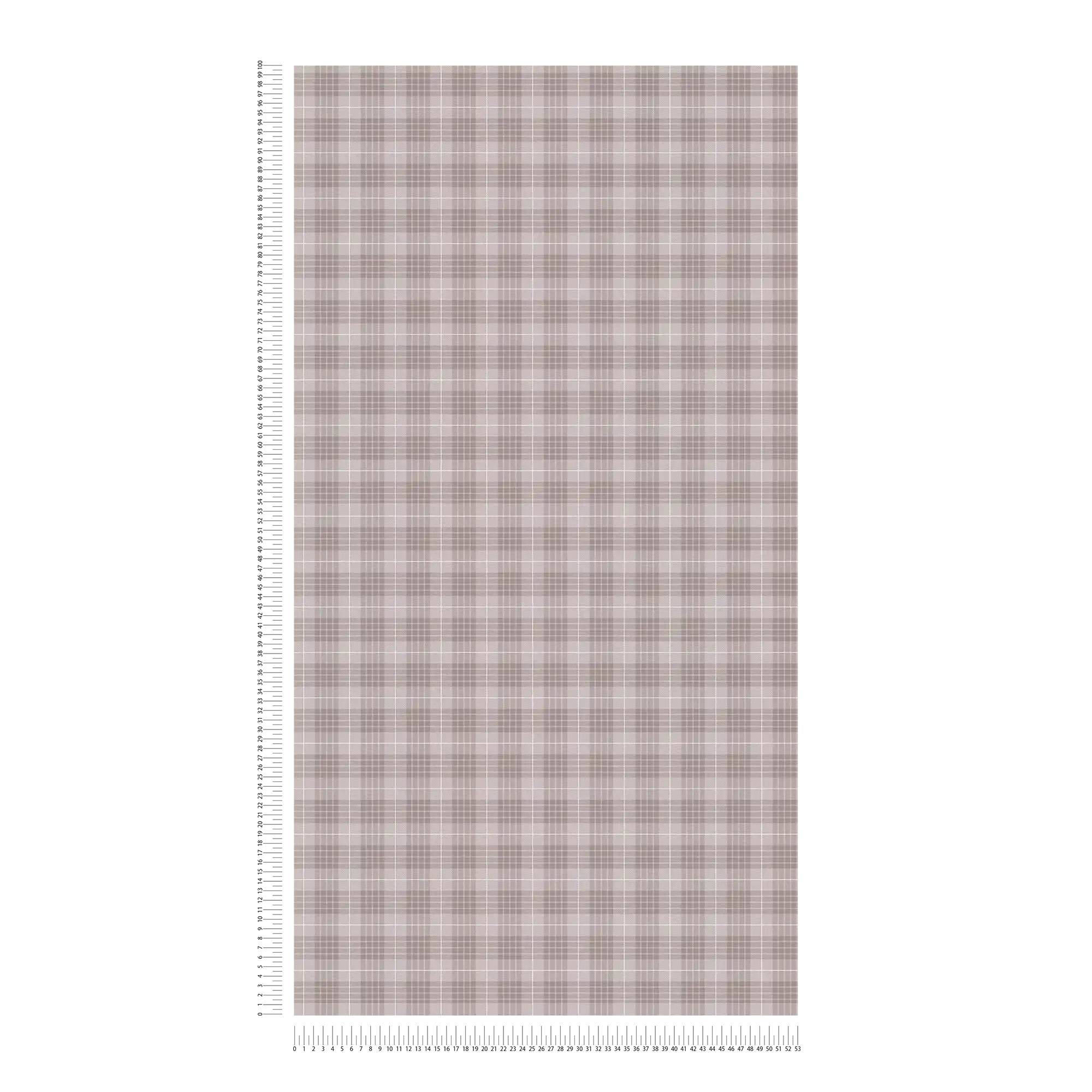             Papier peint à carreaux aspect tissu écossais - gris, blanc
        
