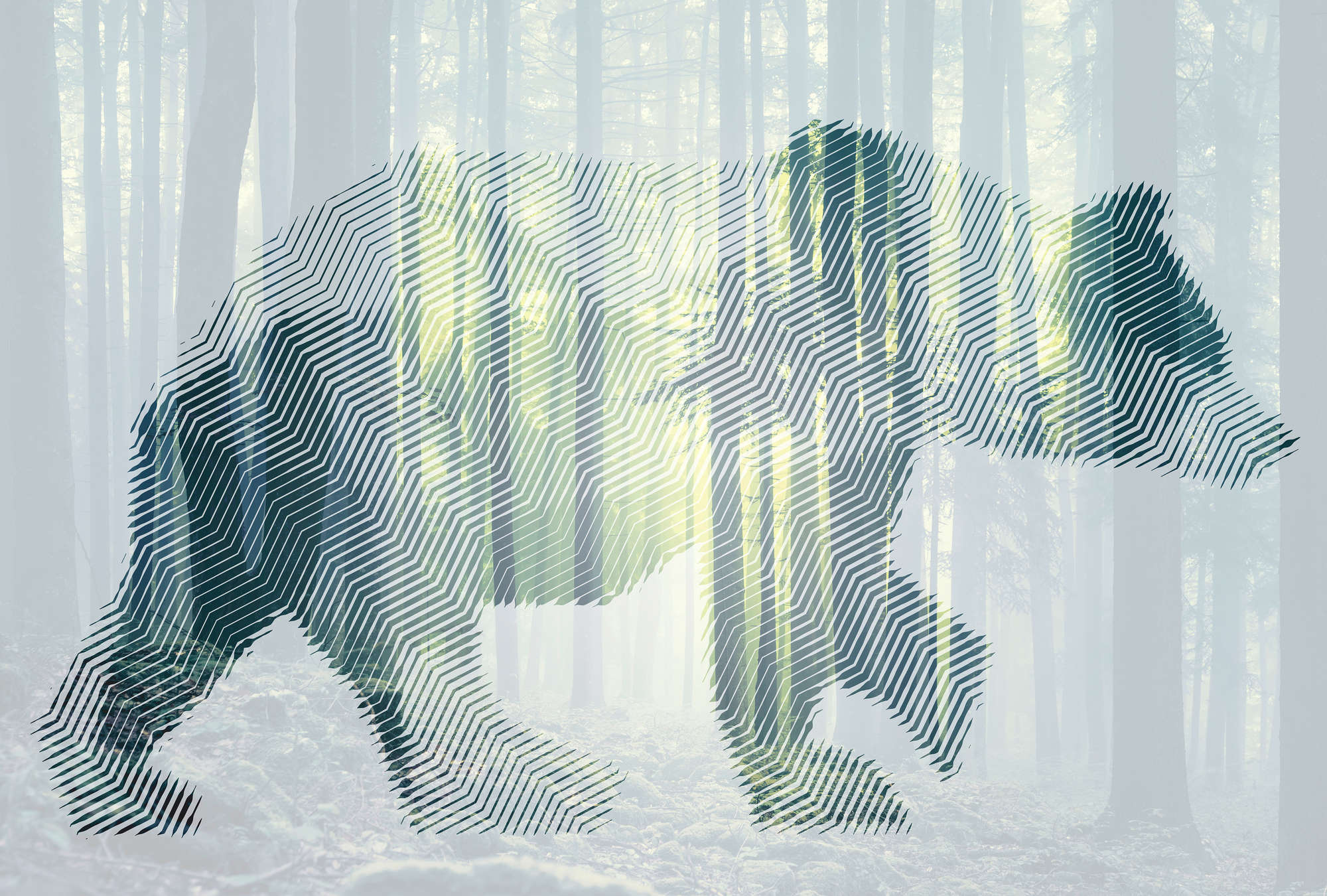             Photo wallpaper forest with bear & graphic design - green, white, yellow
        