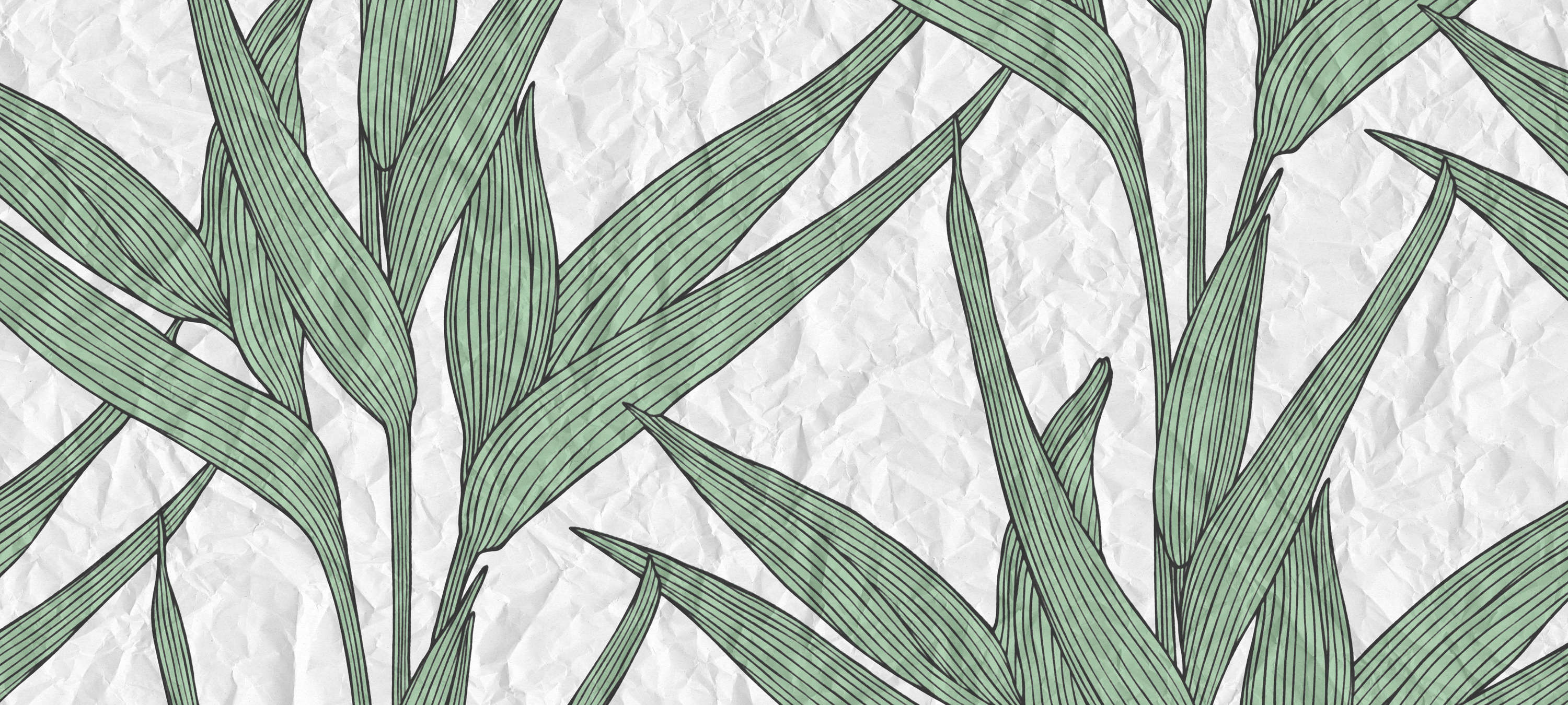            Photo wallpaper leaves pattern & paper look - Green, White
        