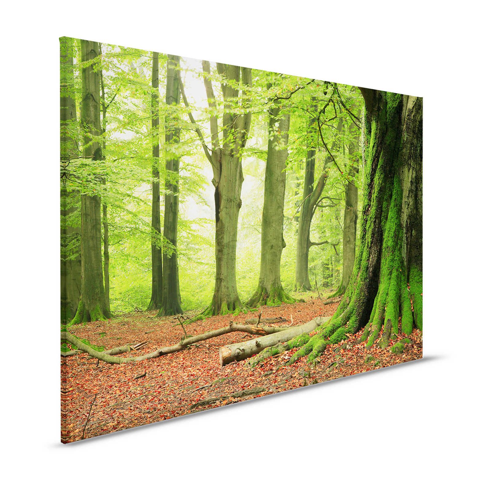 Naturel toile forêt avec des arbres de mousse - 1,20 m x 0,80 m
