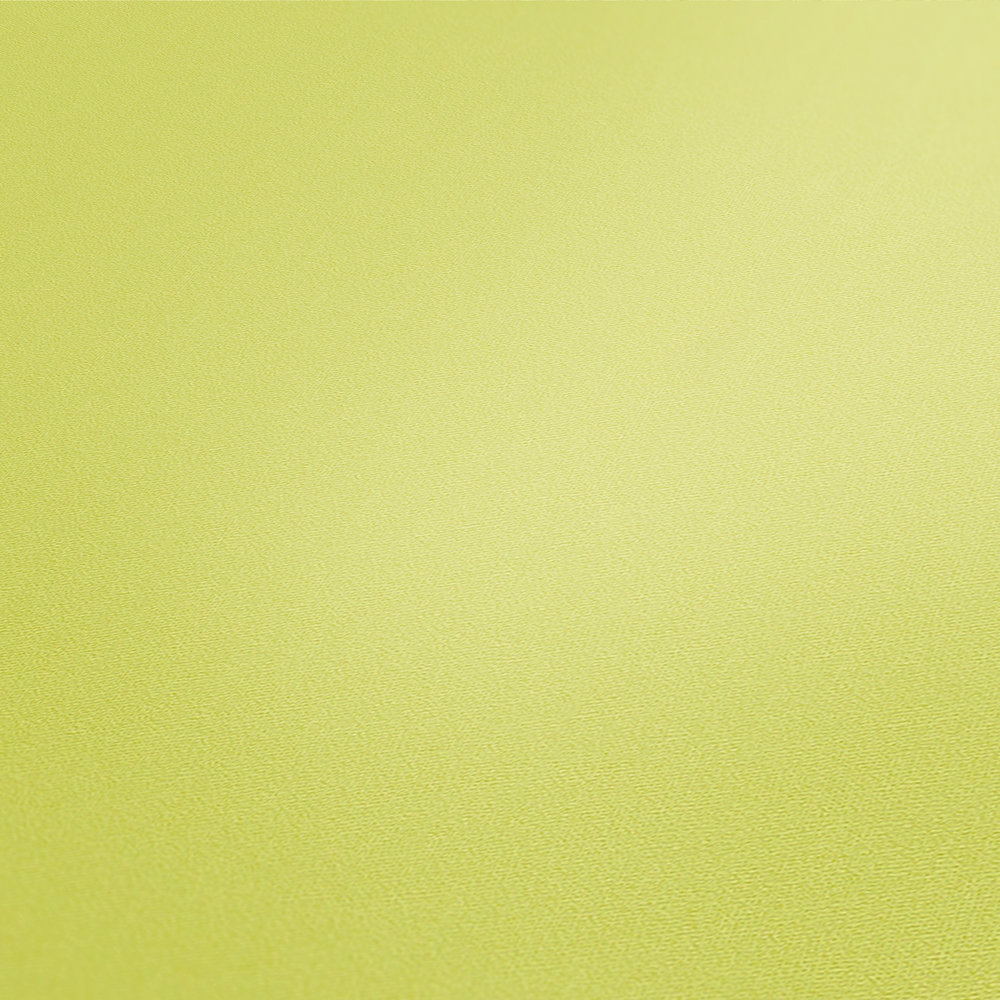             Papel pintado verde claro color primavera liso con efecto de textura
        