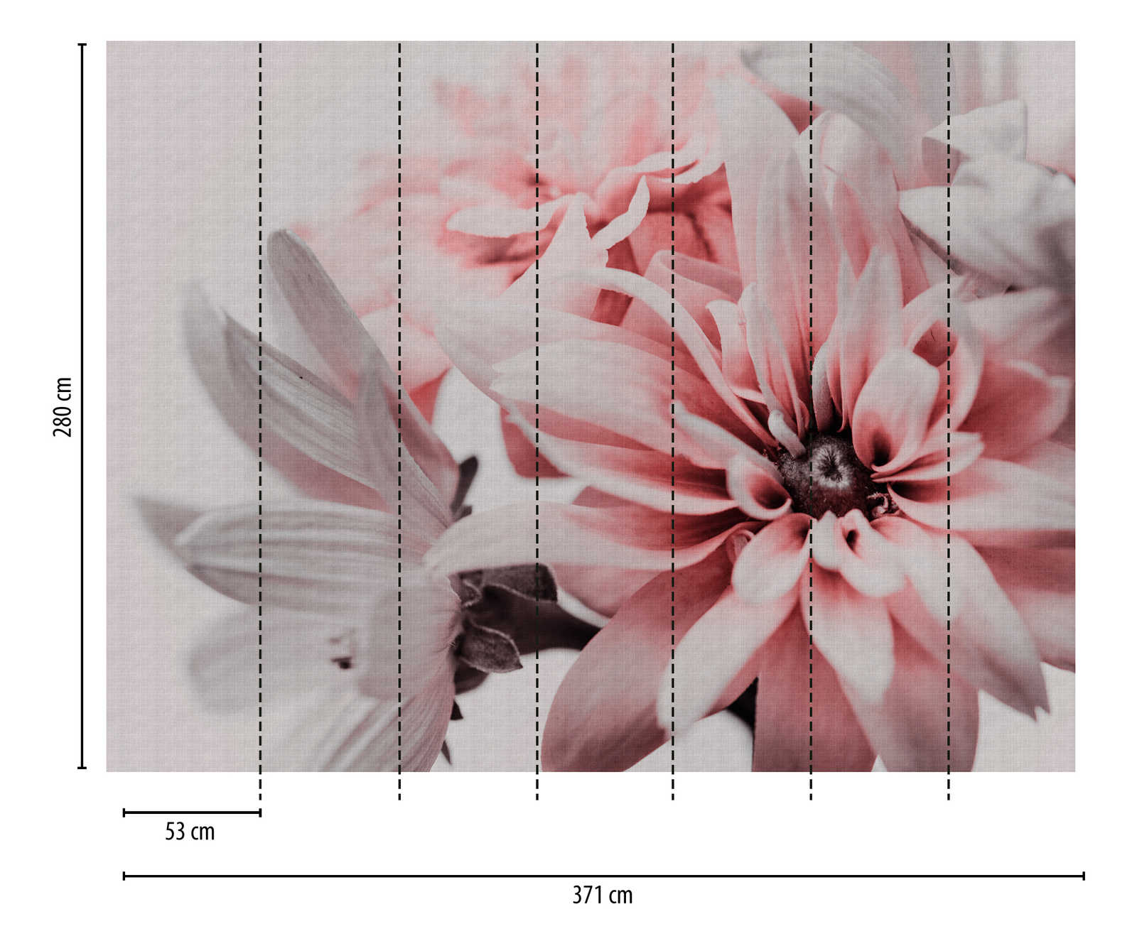             Wallpaper novelty | motif wallpaper flowers, XXL daisies delicate pink
        