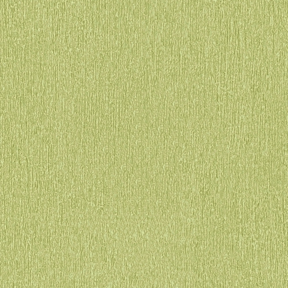             Carta da parati verde chiaro tinta unita verde lime con tratteggio a colori
        