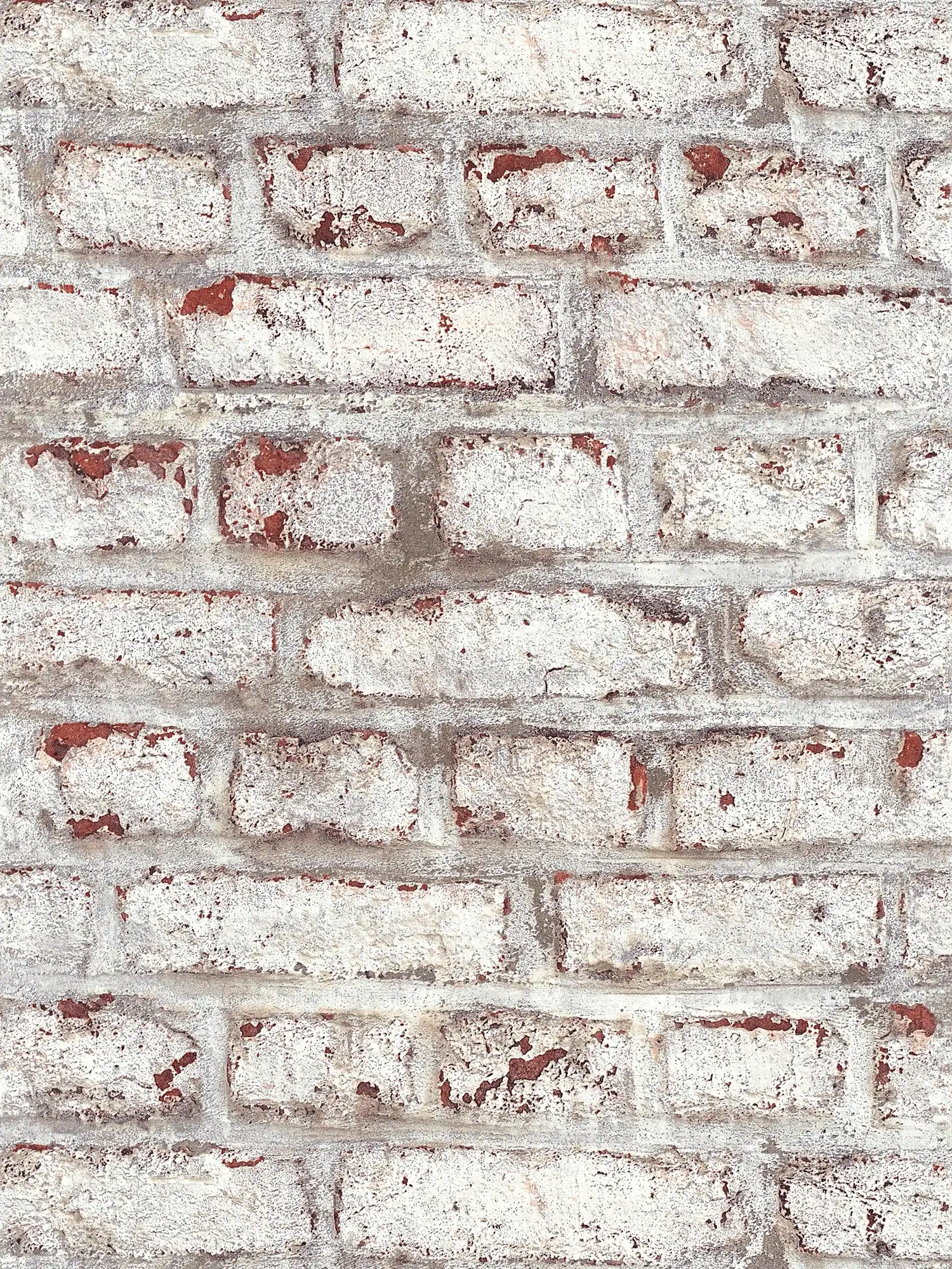 Papier peint maçonnerie avec mur de briques rustique blanchi - blanc, marron, gris
