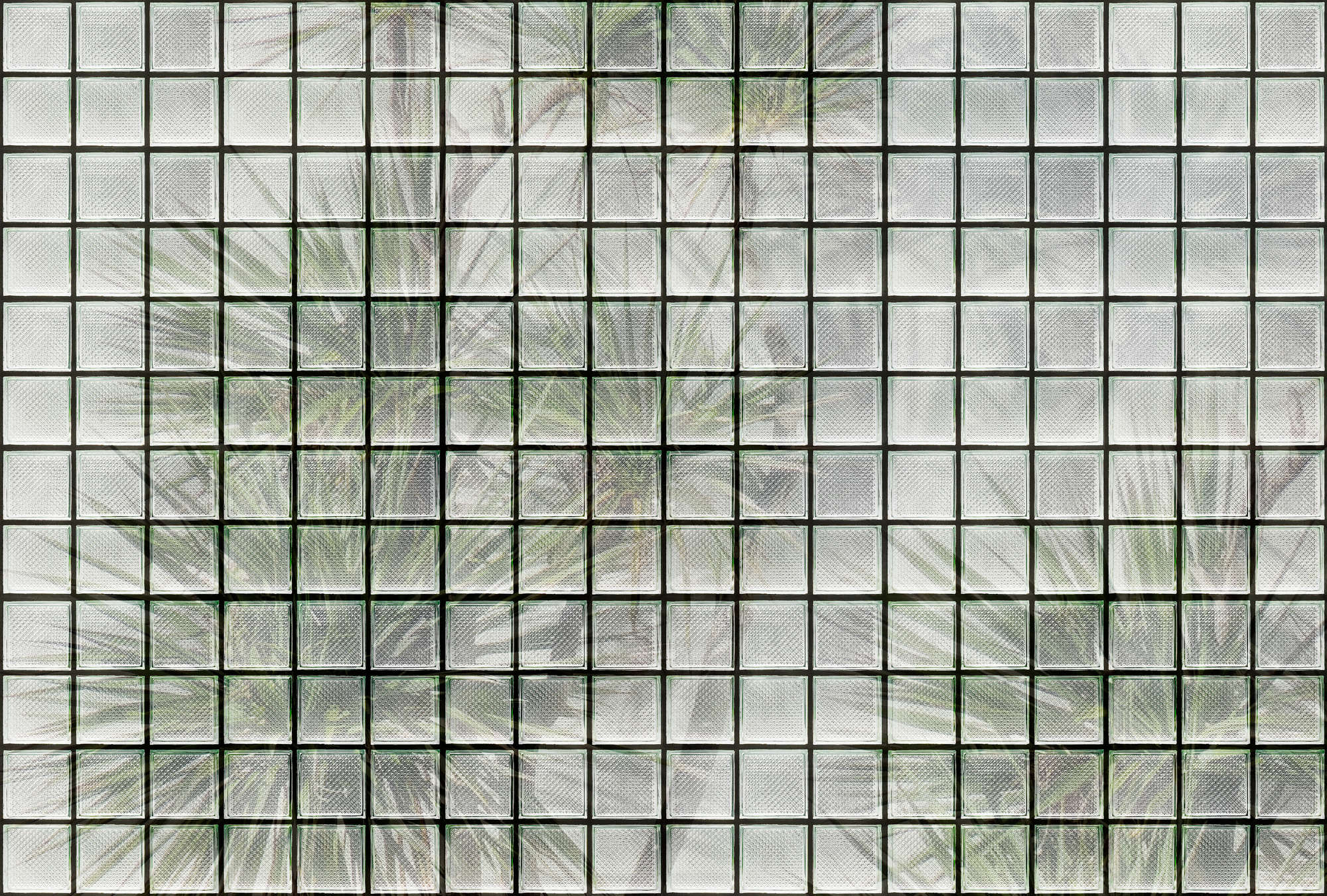             Green House 1 - Fotomurali Palme e blocchi di vetro
        