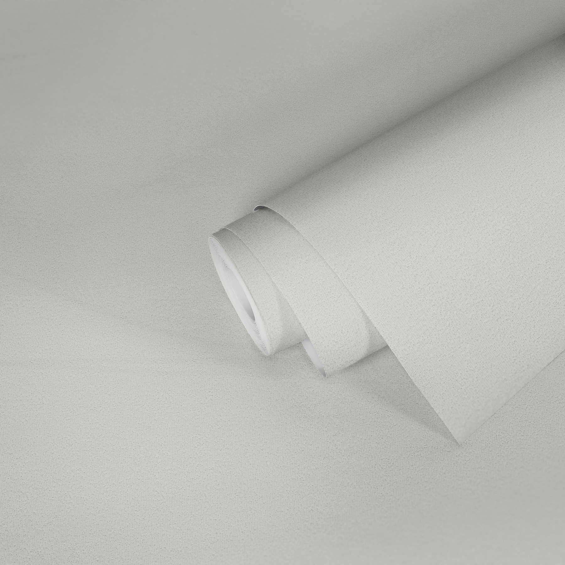             Papier peint structuré avec structure plane en crépi - Blanc
        