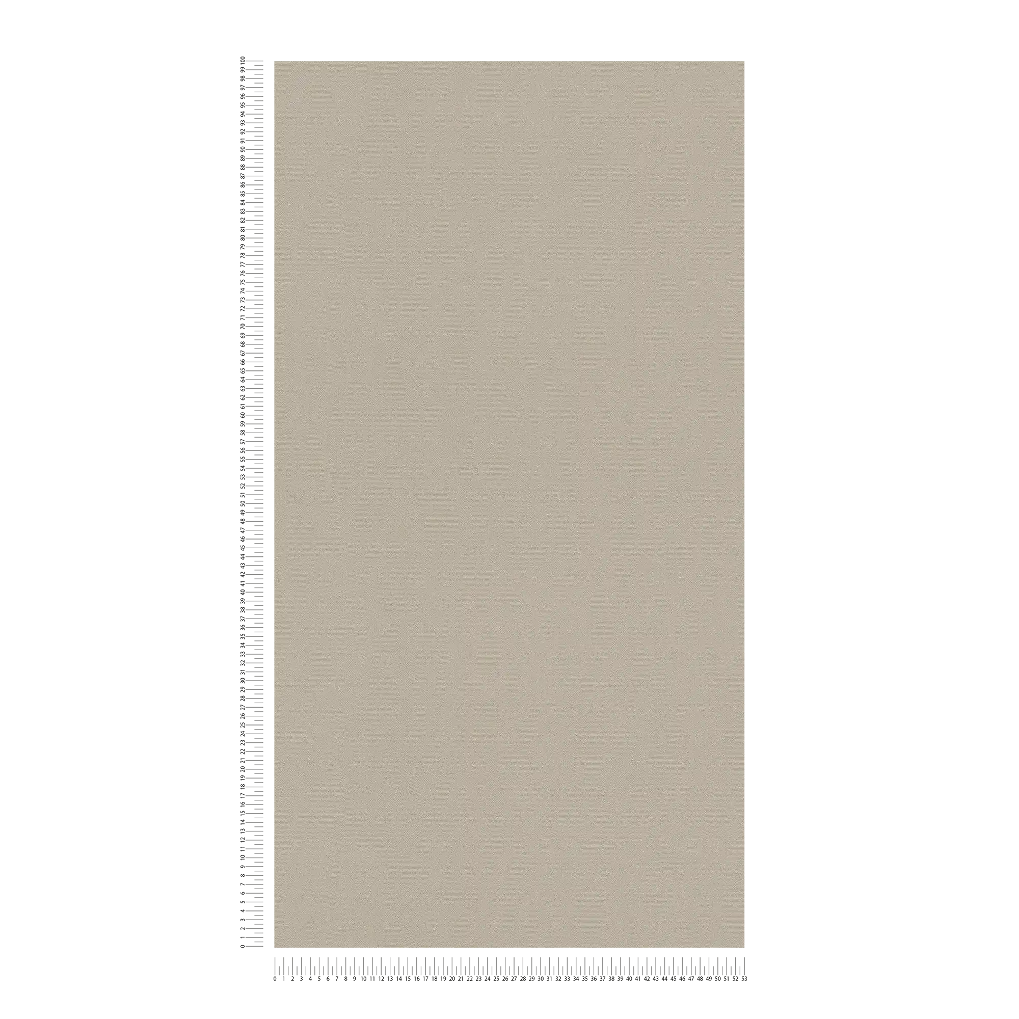             Carta da parati unitaria neutra grigio-beige con superficie strutturata
        