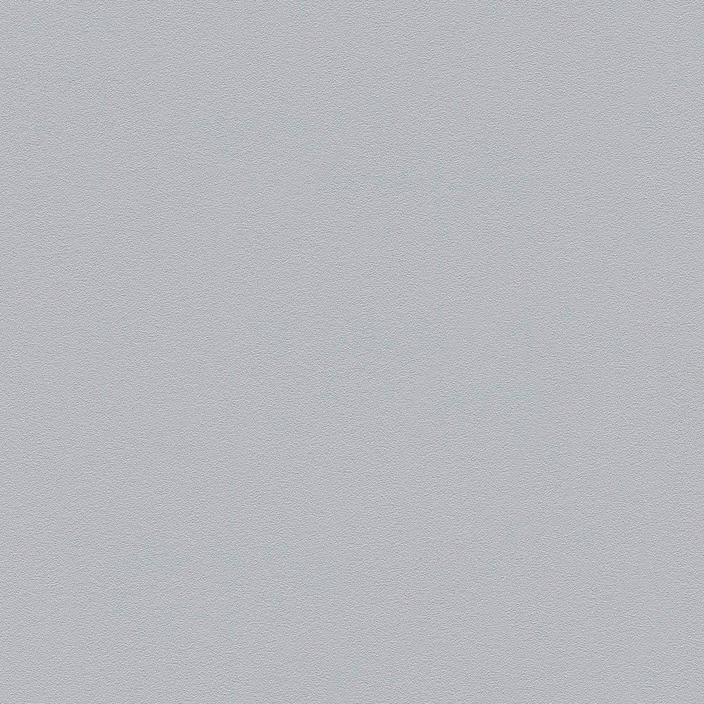             Carta da parati liscia grigio seta opaca con struttura in rilievo
        