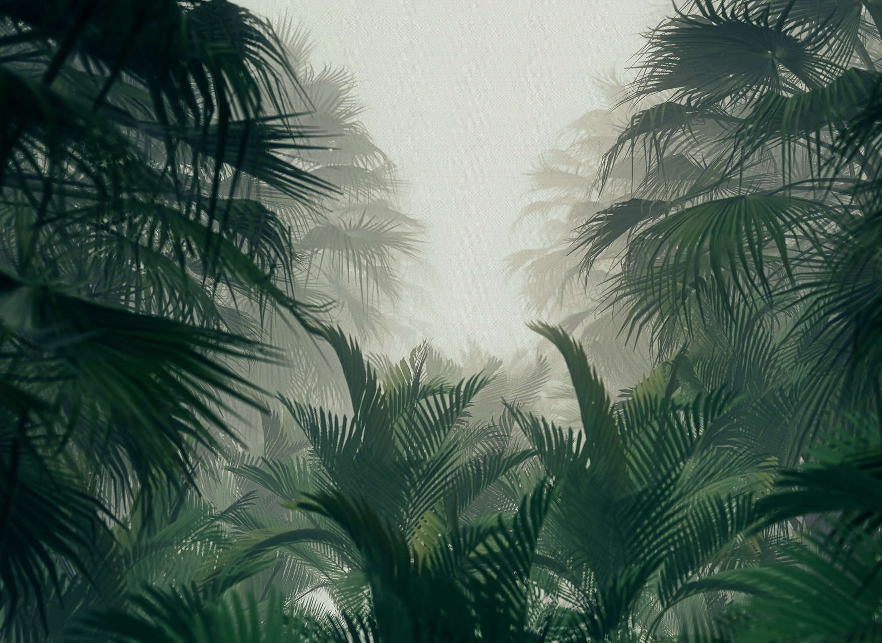             Carta da parati con vista sulla giungla nella stagione delle piogge - Verde, grigio
        