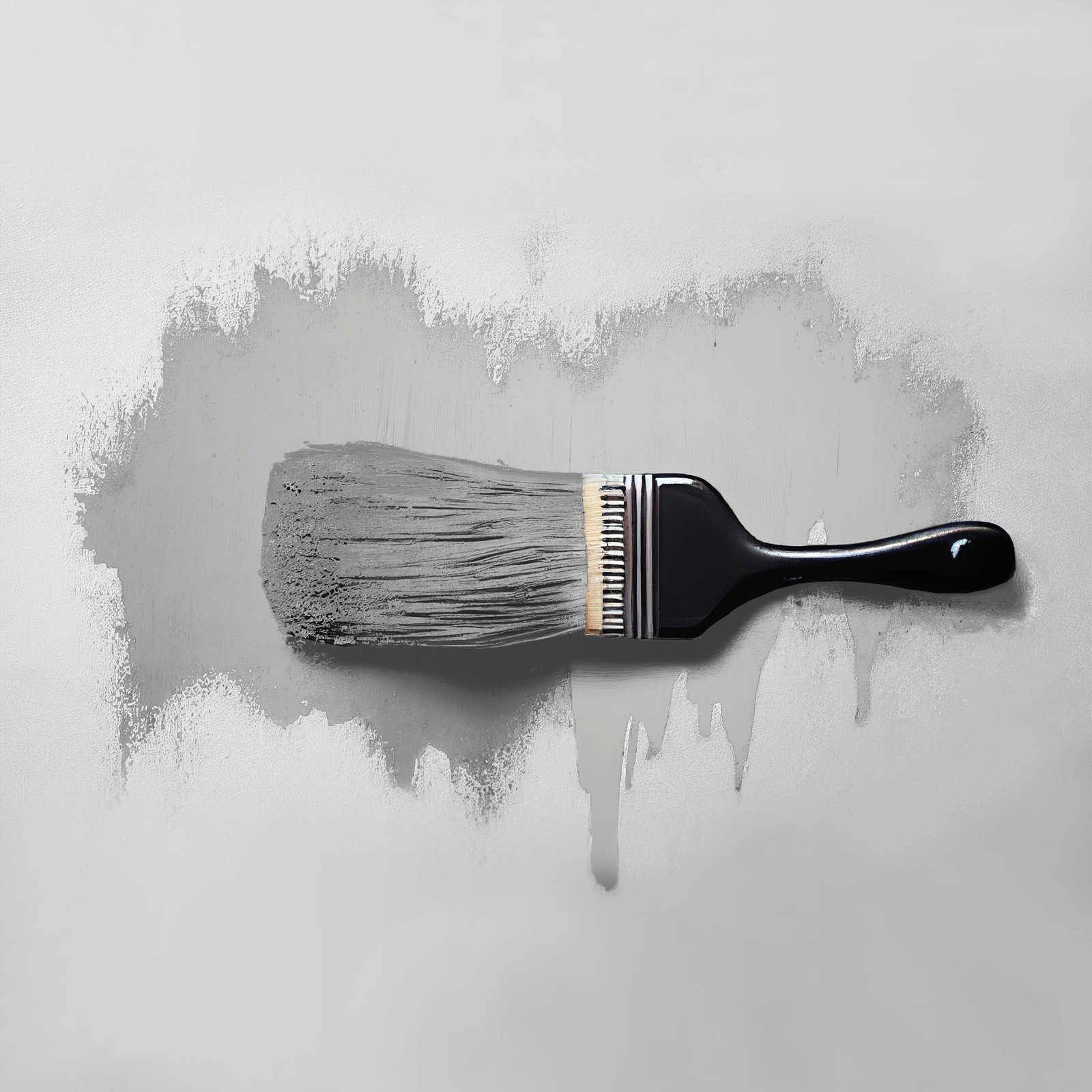             Pintura mural TCK1004 »Shady Spice« en gris frío – 2,5 litro
        