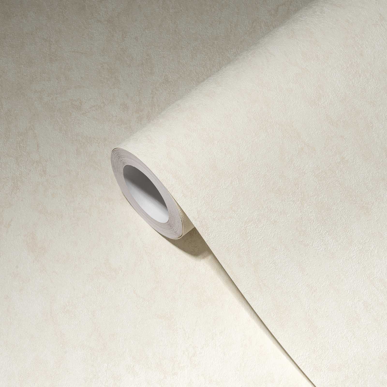             Papier peint uni avec effet structuré & design chiné - crème
        