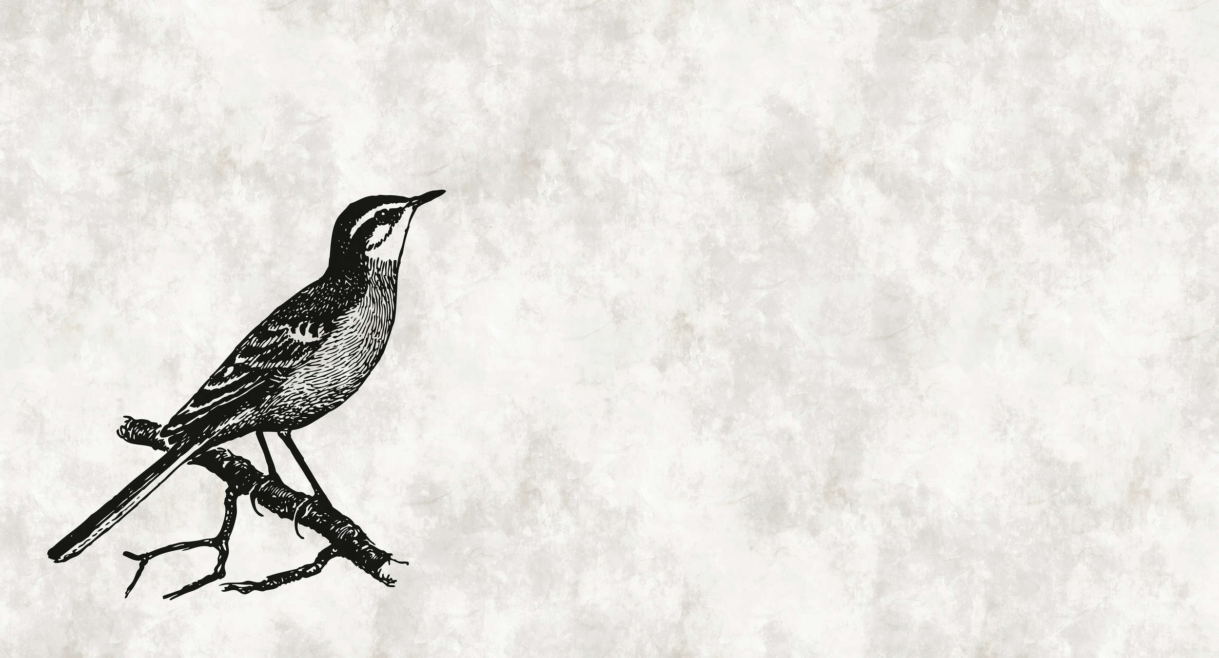             Carta da parati a forma di uccello con ottica in gesso - Bianco, Nero
        