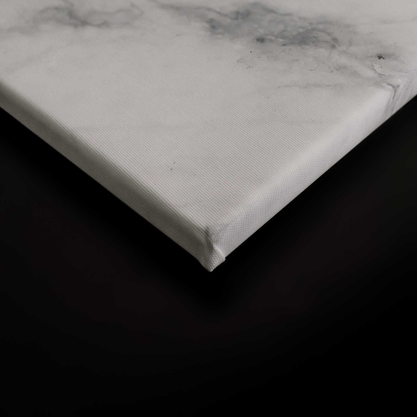             Black and White Canvas Painting Marble with Nature Details - 0.90 m x 0.60 m
        