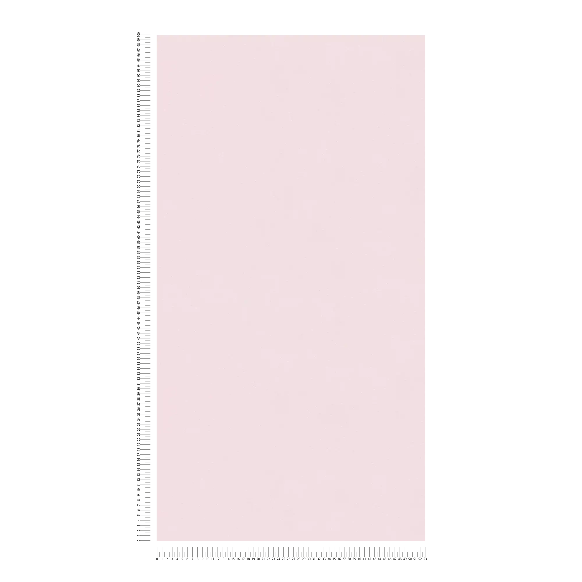             Carta da parati rosa pallido tinta unita Blush opaco - Rosa
        