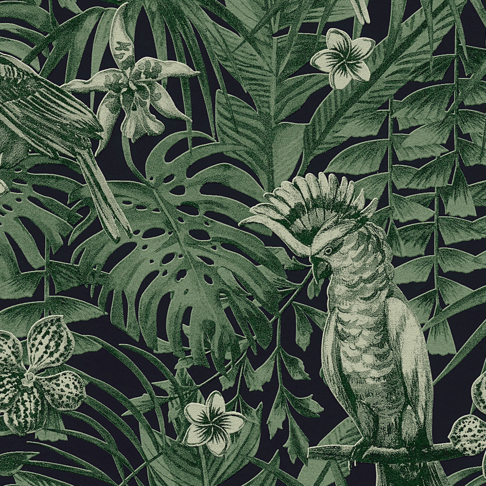             papel pintado pájaros tropicales y flores exóticas - verde, negro
        