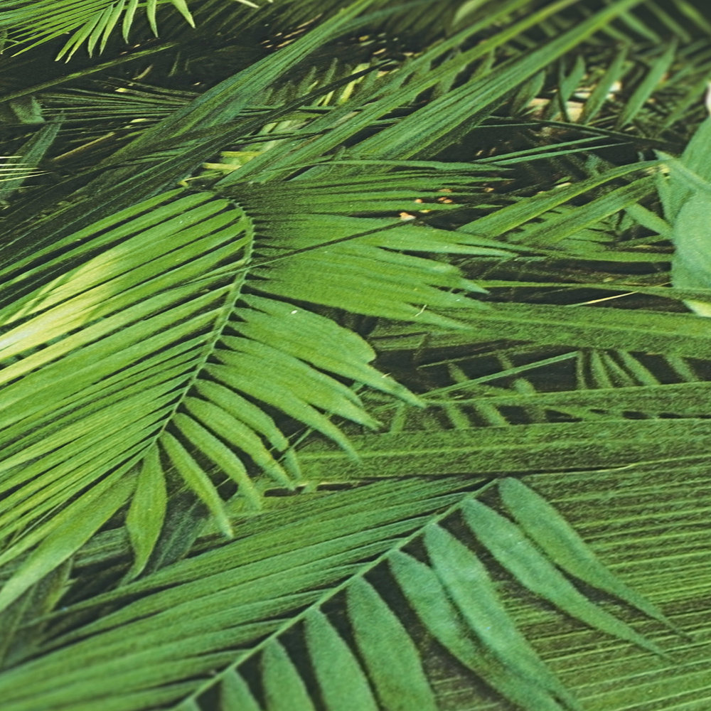             Zelfklevend behang | jungle bladeren patroon groene jungle
        