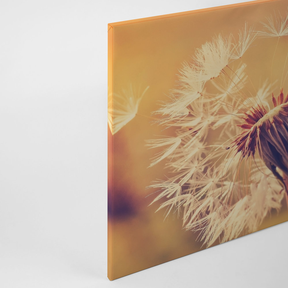             Canvas with dandelion motif | Orange, White - 0.90 m x 0.60 m
        
