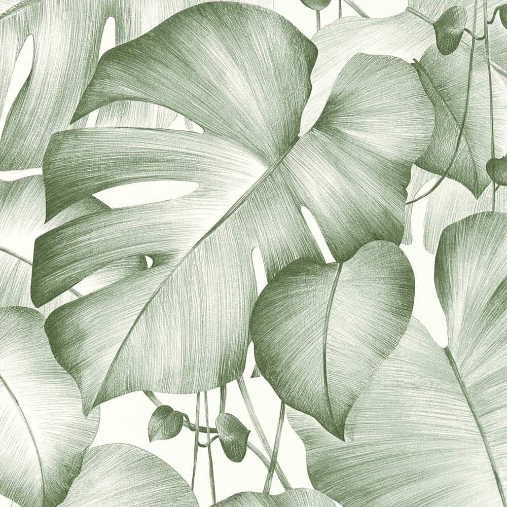             Panel de diseño autoadhesivo con hojas de Monstera - Verde, Blanco
        