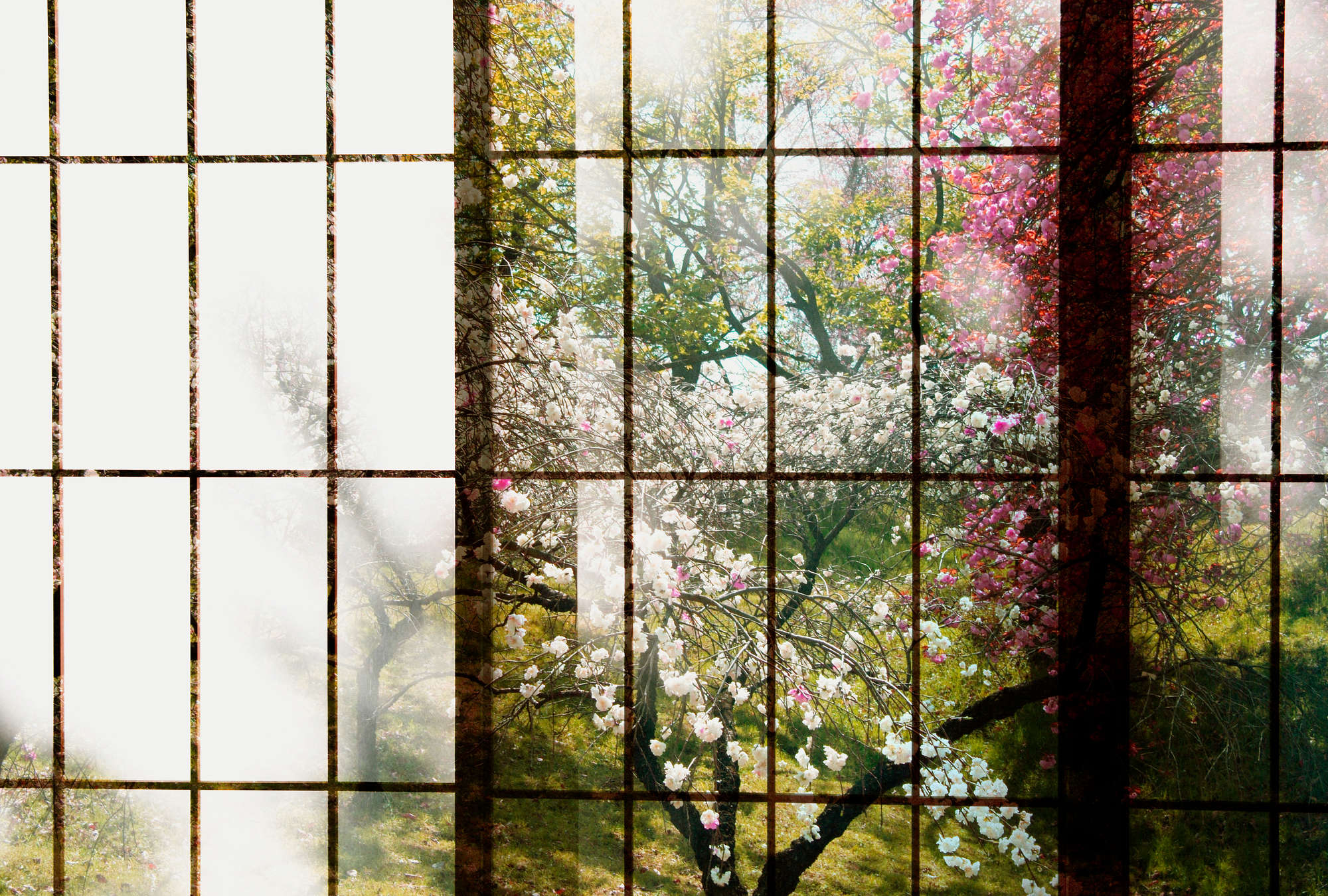             Orchard 1 - Photo wallpaper, Window with garden view - Green, Pink | Matt smooth fleece
        