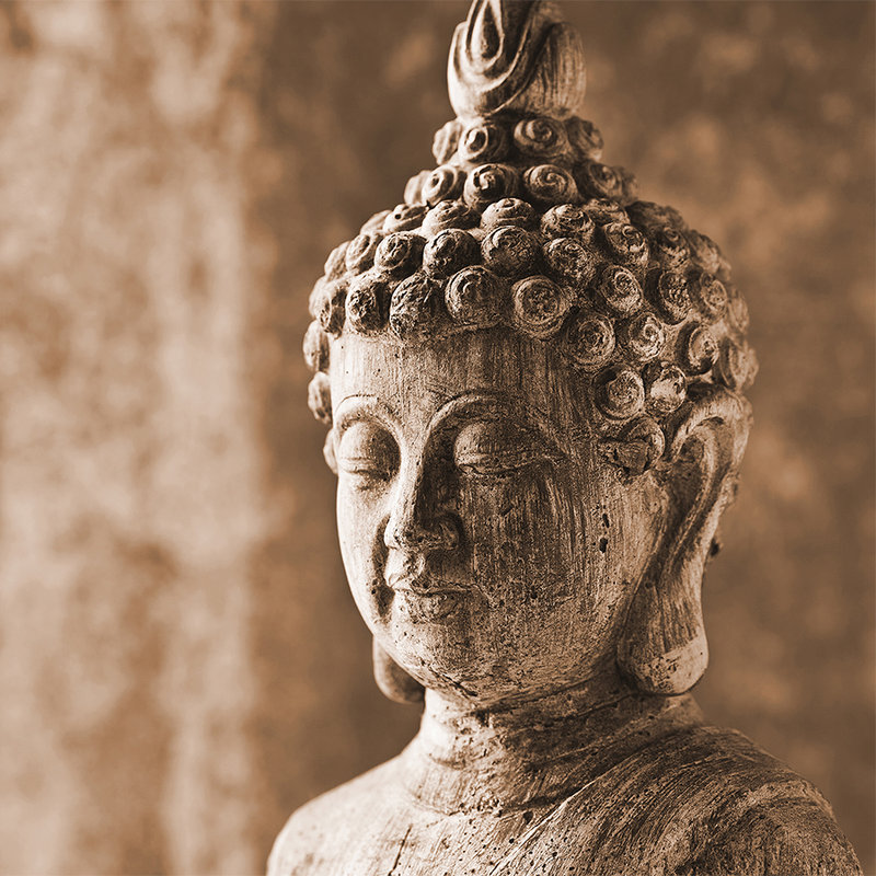         Photo wallpaper Asian Stone Sculpture - Brown, Grey
    