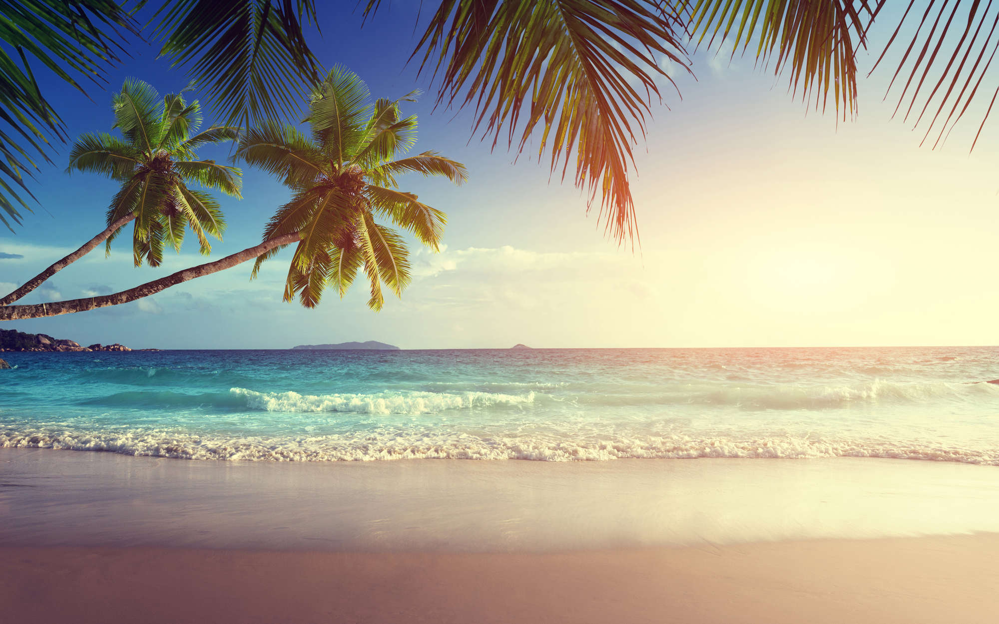             Digital behang Seychellen met palmbomen - Premium glad vlies
        