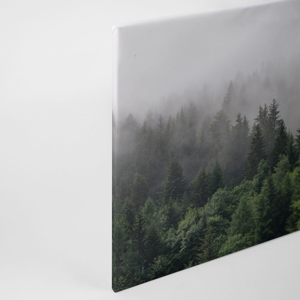             Canvas with forest from above on a foggy day - 0.90 m x 0.60 m
        