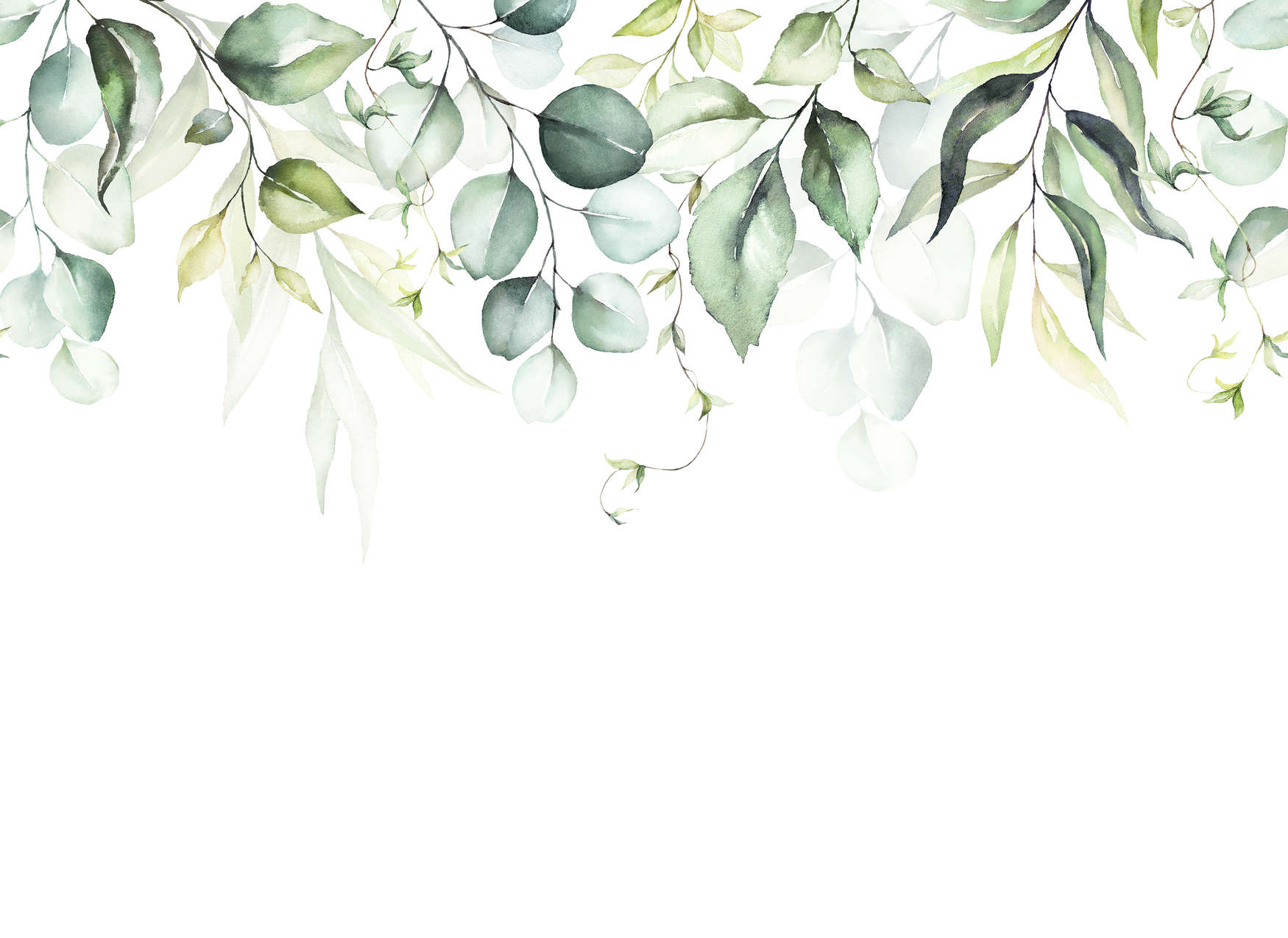             Papier peint avec des rinceaux de feuilles dans un look aquarelle - blanc, vert
        