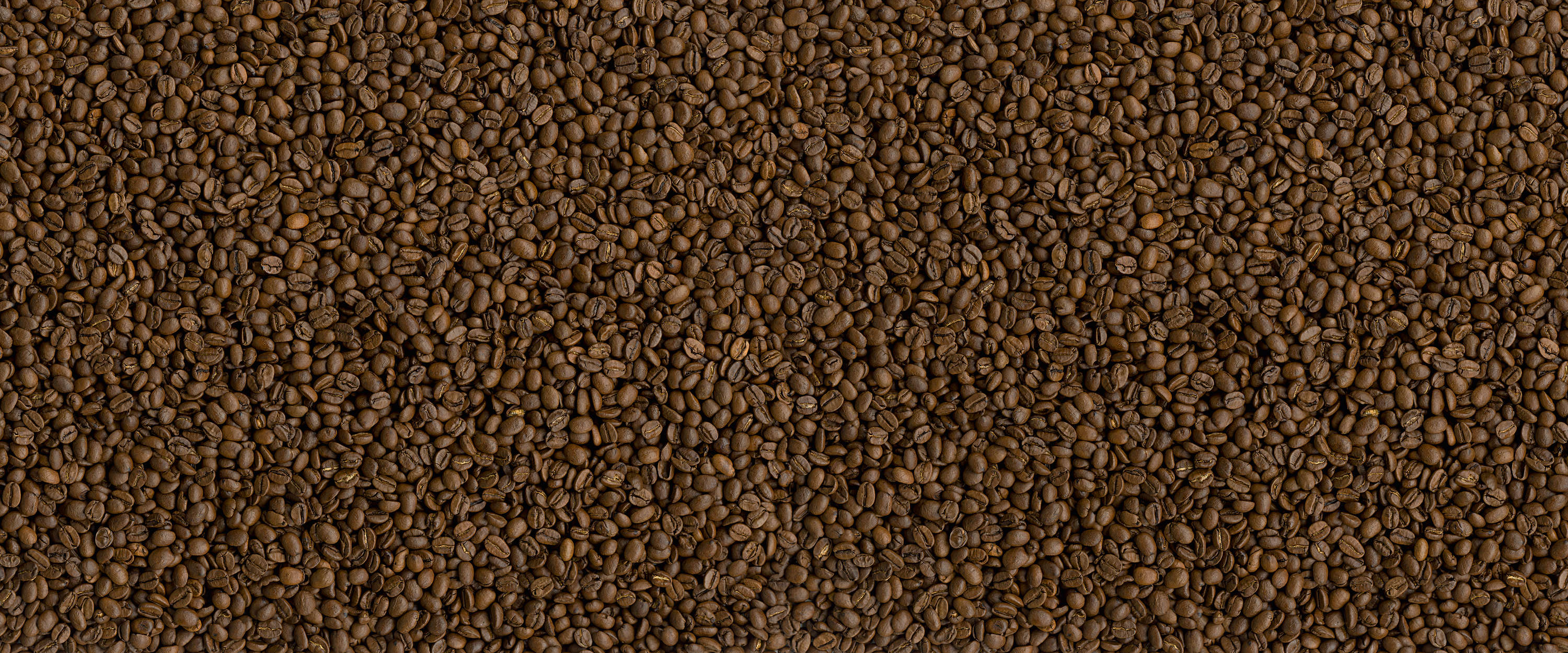             Des grains de café comme Papier peint panoramique pour une ambiance chaleureuse
        