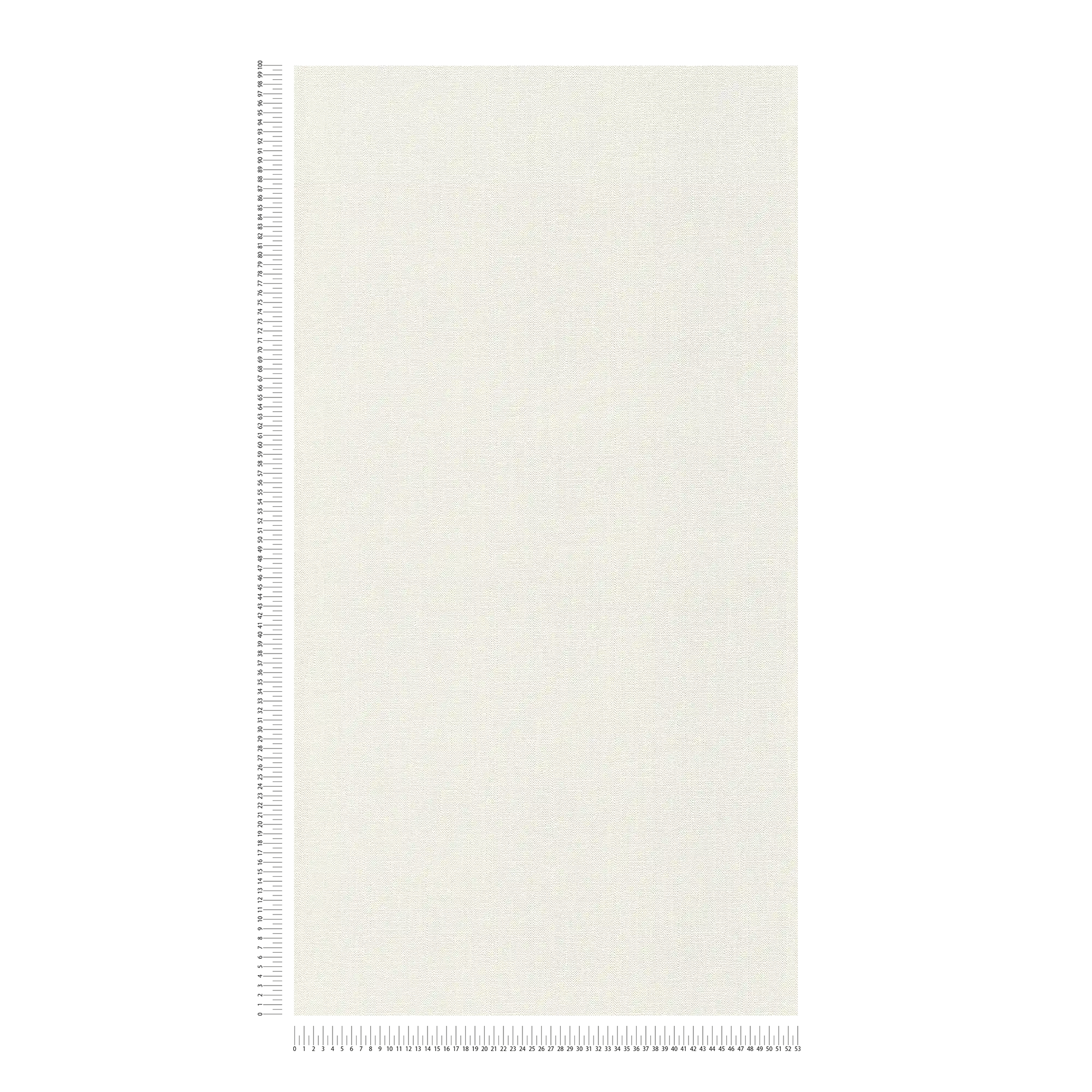             Papier peint intissé blanc uni mat avec structure mousse
        