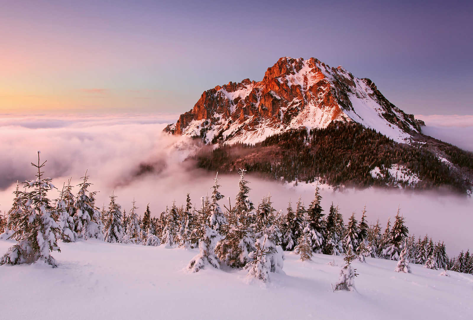 Papier peint panoramique sommet de montagne avec neige - blanc, marron, vert

