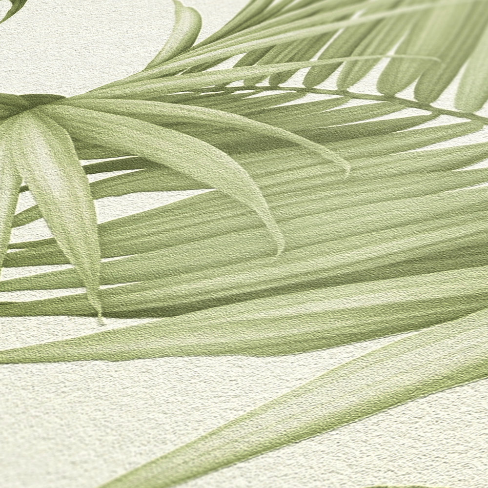             Carta da parati con foglie di felce esotica - verde, bianco
        