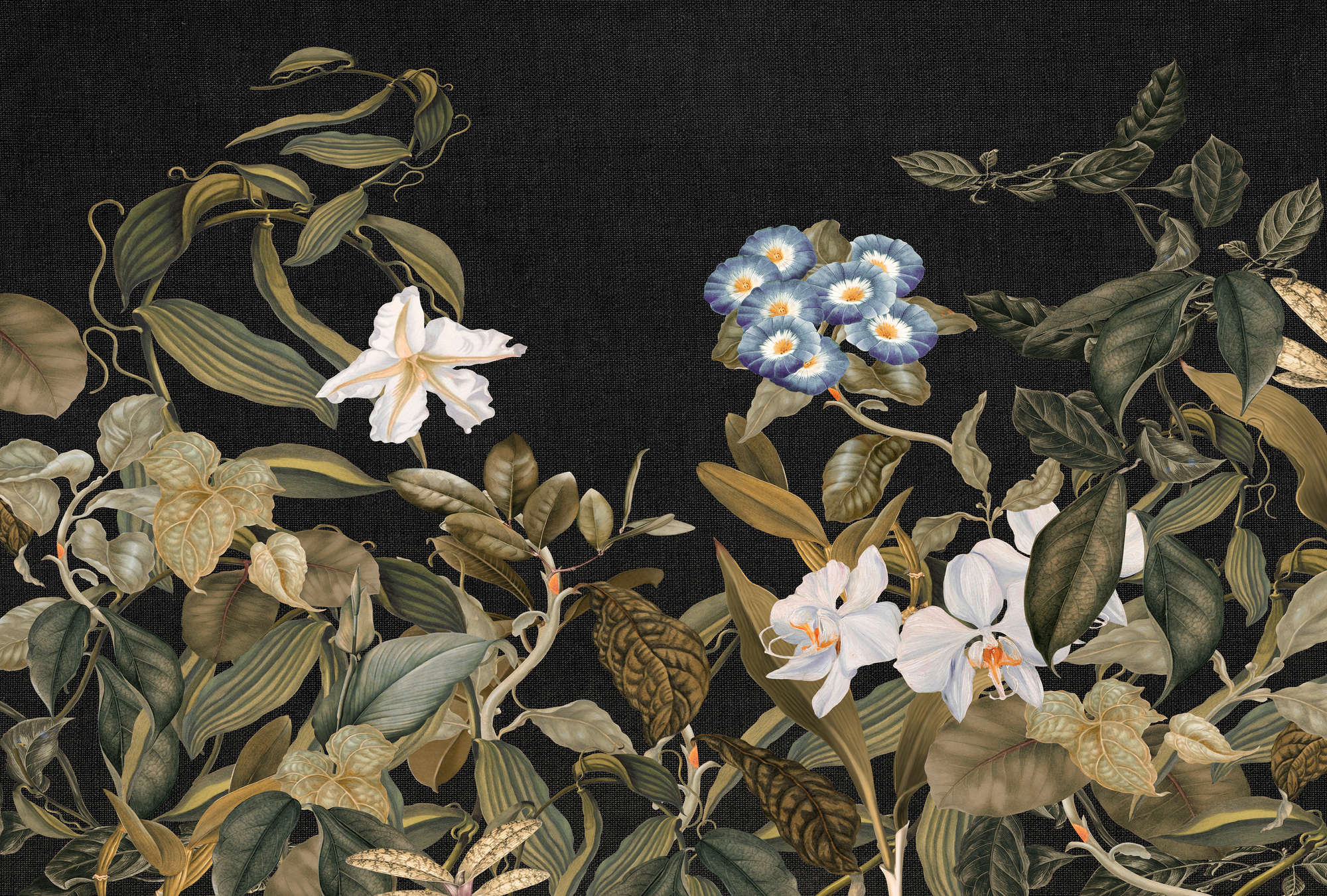             Papier peint Botanical avec motif d'orchidées et de feuilles - vert, noir, bleu
        
