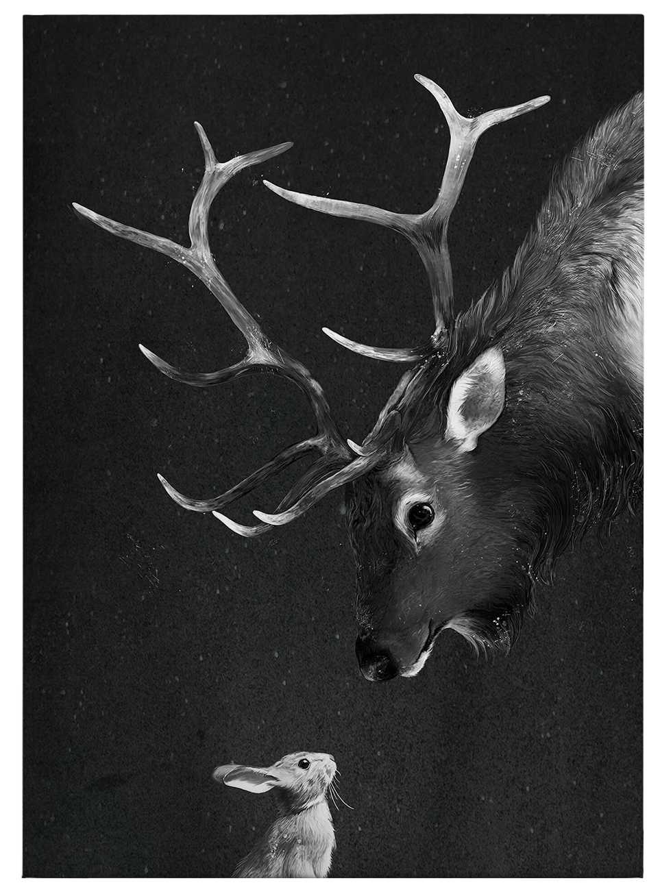             Graves Canvas print "Deer & Rabbit" – black and white
        