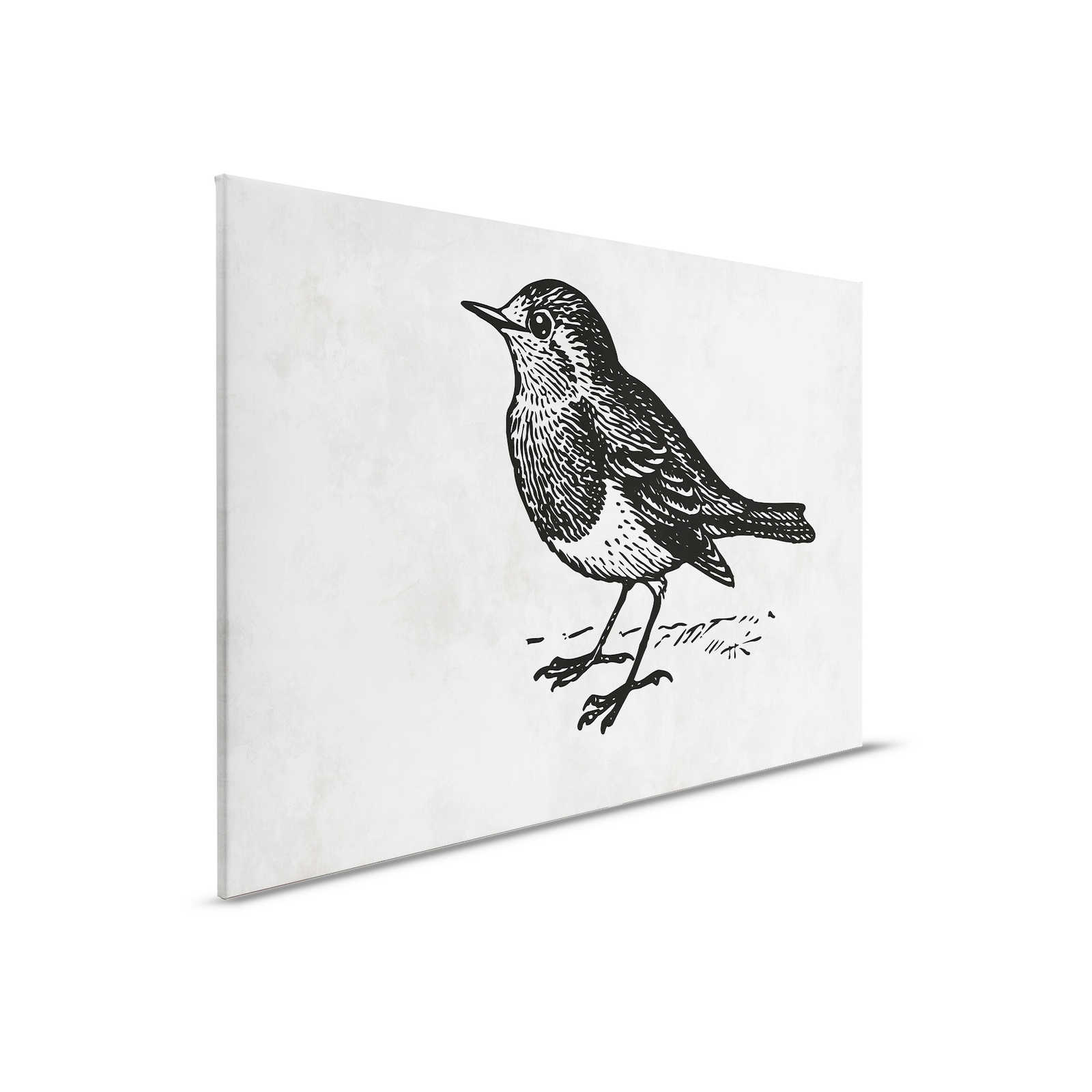 Quadro su tela in bianco e nero con uccello - 0,90 m x 0,60 m
