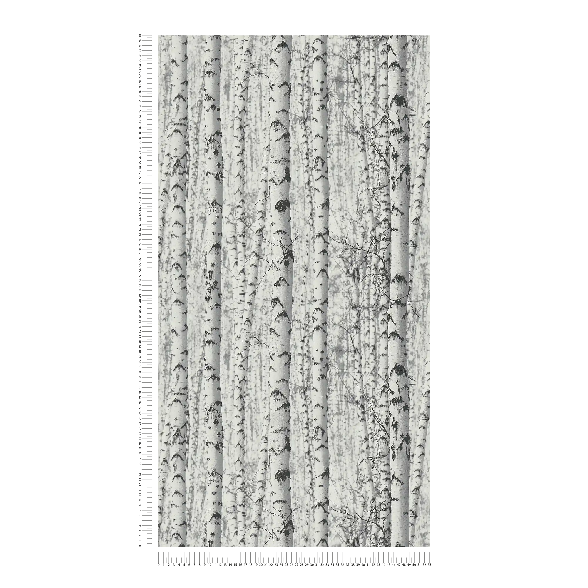             Black and white wallpaper birch forest 3D - white, black
        