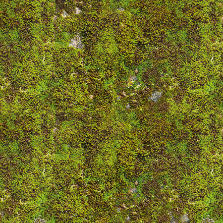         Nature calming effect mural - moss surface
    